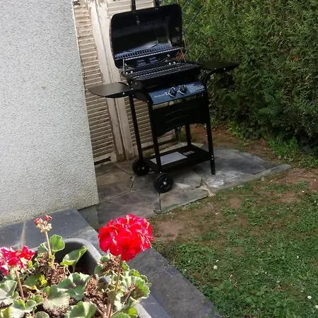 Les Lussacois Ferienhaus Lussac-les-Châteaux