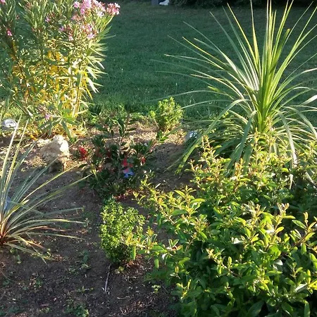 Les Lussacois Lussac-les-Châteaux